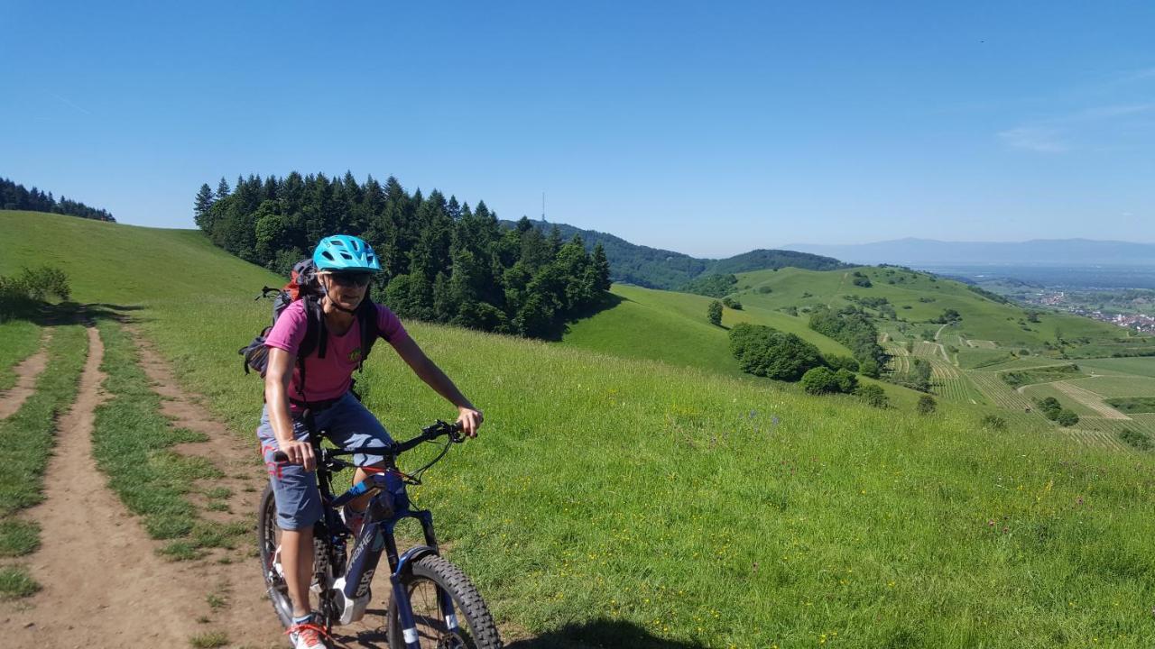 Gaestehaus Casa Luna - Paradiesische Ferienwohnungen Am Kaiserstuhl! Bischoffingen المظهر الخارجي الصورة