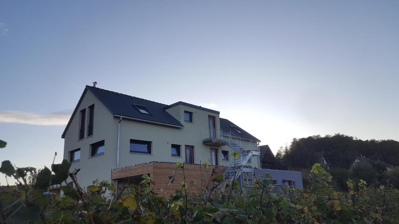Gaestehaus Casa Luna - Paradiesische Ferienwohnungen Am Kaiserstuhl! Bischoffingen المظهر الخارجي الصورة