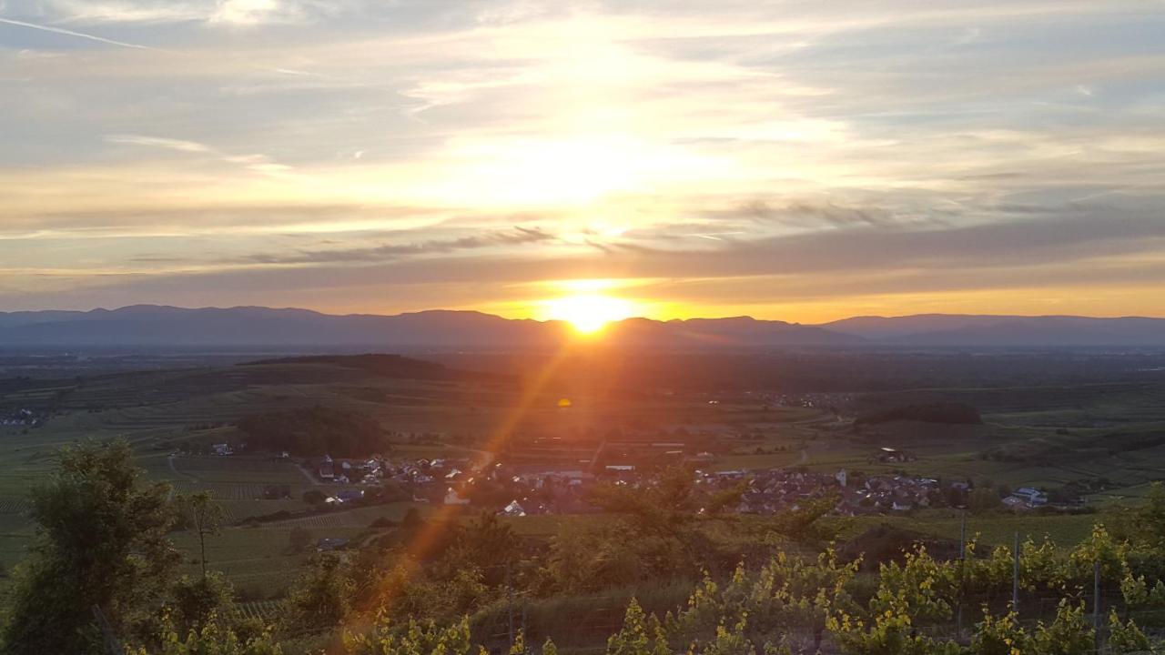 Gaestehaus Casa Luna - Paradiesische Ferienwohnungen Am Kaiserstuhl! Bischoffingen المظهر الخارجي الصورة