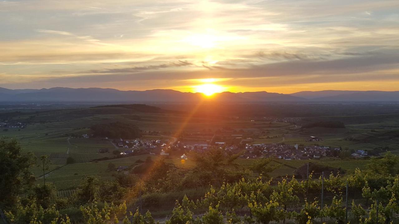 Gaestehaus Casa Luna - Paradiesische Ferienwohnungen Am Kaiserstuhl! Bischoffingen المظهر الخارجي الصورة