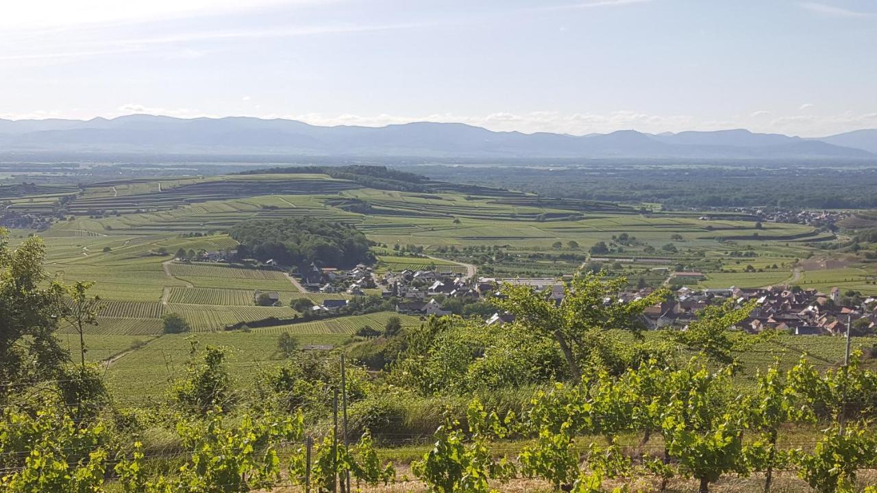 Gaestehaus Casa Luna - Paradiesische Ferienwohnungen Am Kaiserstuhl! Bischoffingen المظهر الخارجي الصورة