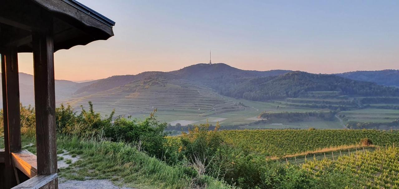 Gaestehaus Casa Luna - Paradiesische Ferienwohnungen Am Kaiserstuhl! Bischoffingen المظهر الخارجي الصورة