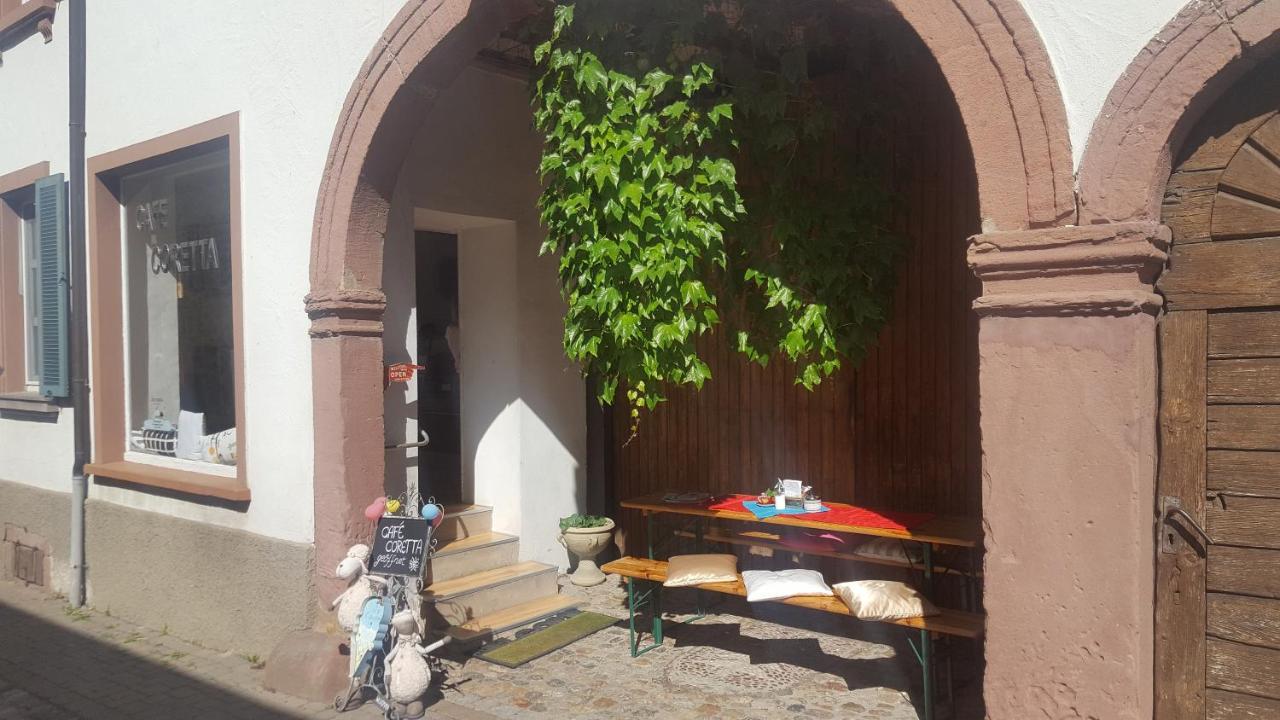 Gaestehaus Casa Luna - Paradiesische Ferienwohnungen Am Kaiserstuhl! Bischoffingen المظهر الخارجي الصورة